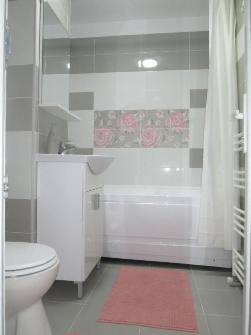 Sarra Apartment Targoviste